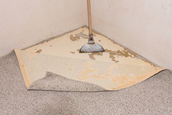 Basement Carpet Removal