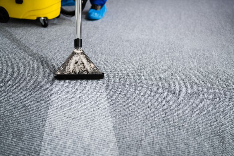 Local Carpet Cleaning Experts